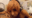 2021-12-27 23:26の投稿