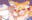 2021-12-29 11:22の投稿