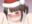 2021-12-31 00:06の投稿