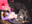 2022-01-15 20:08の投稿