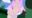 2018-12-13 19:05の投稿