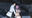 2022-01-19 00:00の投稿