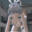 2022-02-20 06:53の投稿