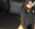 2022-03-04 21:00の投稿