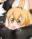 2019-01-11 23:23の投稿