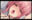 2022-03-12 16:57の投稿