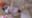 2022-03-19 15:17の投稿