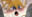 2022-03-19 17:12の投稿