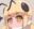 2019-01-17 14:15の投稿