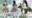 2022-03-20 06:45の投稿