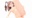 2019-01-19 20:28の投稿