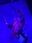 2022-03-25 17:28の投稿