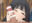 2022-04-07 05:20の投稿