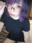2022-04-14 20:00の投稿