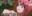 2019-02-02 00:00の投稿