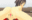 2019-02-02 10:04の投稿