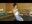 2022-04-20 07:00の投稿
