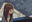 2019-02-04 20:03の投稿