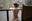 2022-04-24 07:00の投稿