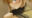 2022-04-29 23:28の投稿