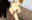 2019-02-11 07:54の投稿