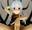 2019-02-13 23:05の投稿