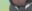2019-02-14 17:05の投稿