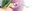 2019-02-14 17:19の投稿