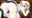 2019-02-15 16:20の投稿