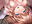 2019-02-15 22:56の投稿
