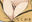 2019-02-16 01:56の投稿