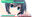 2022-05-25 03:13の投稿