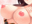 2022-07-09 17:00の投稿