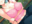 2022-07-15 17:00の投稿