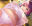 2019-02-22 13:55の投稿