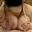 【長編動画】モモちゃんがもこもこバニービキニで膝上パイズリ！ (1/3)