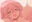 2019-02-23 02:04の投稿