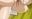 2016-07-05 08:58の投稿