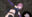 2022-06-01 00:00の投稿