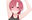 2019-02-24 21:15の投稿