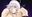 2019-02-25 01:39の投稿