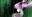 2019-02-28 00:38の投稿