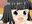 2019-02-28 21:45の投稿
