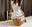 2022-06-11 21:00の投稿