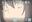 2019-03-02 00:51の投稿