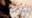 2019-03-03 03:39の投稿