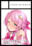 2022-06-15 22:24の投稿