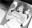 2019-03-03 21:33の投稿