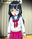 2019-03-05 23:32の投稿