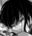 2019-03-10 10:50の投稿